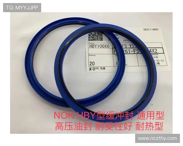 挖掘机底盘行走油封